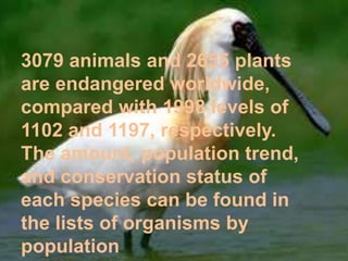 3079 animals and 2655 plants
are endangered worldwide,
compared with 1998 levels of
1102 and 1197, respectively.
The amount, population trend,
and conservation status of
each species can be found in
the lists of organisms by
population
 
