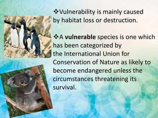 Vulnerability is mainly caused
by habitat loss or destruction.
A vulnerable species is one which
has been categorized by
the International Union for
Conservation of Nature as likely to
become endangered unless the
circumstances threatening its
survival.
 