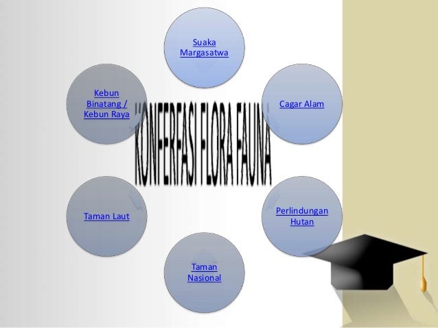 Persebaran Flora Dan Fauna Di Indonesia Dan Dunia