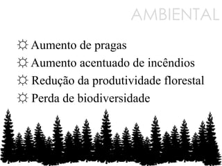 ☼ Aumento de pragas
☼ Aumento acentuado de incêndios
☼ Redução da produtividade florestal
☼ Perda de biodiversidade
AMBIENTAL
 