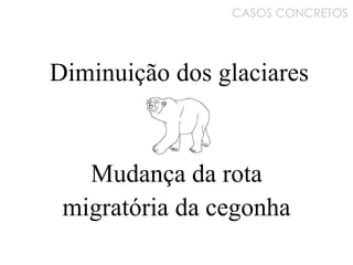 CASOS CONCRETOS
Diminuição dos glaciares
Mudança da rota
migratória da cegonha
 