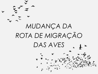 MUDANÇA DA
ROTA DE MIGRAÇÃO
DAS AVES
 