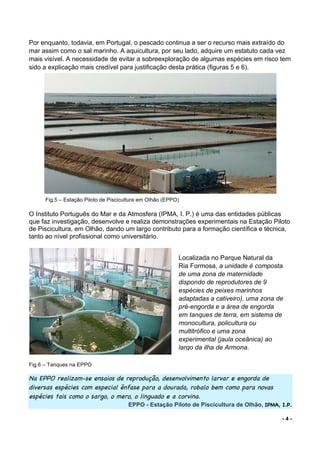 - 4 -
Por enquanto, todavia, em Portugal, o pescado continua a ser o recurso mais extraído do
mar assim como o sal marinho. A aquicultura, por seu lado, adquire um estatuto cada vez
mais visível. A necessidade de evitar a sobreexploração de algumas espécies em risco tem
sido a explicação mais credível para justificação desta prática (figuras 5 e 6).
Fig.5 – Estação Piloto de Piscicultura em Olhão (EPPO)
O Instituto Português do Mar e da Atmosfera (IPMA, I. P.) é uma das entidades públicas
que faz investigação, desenvolve e realiza demonstrações experimentais na Estação Piloto
de Piscicultura, em Olhão, dando um largo contributo para a formação científica e técnica,
tanto ao nível profissional como universitário.
Fig.6 – Tanques na EPPO
Na EPPO realizam-se ensaios de reprodução, desenvolvimento larvar e engorda de
diversas espécies com especial ênfase para a dourada, robalo bem como para novas
espécies tais como o sargo, o mero, o linguado e a corvina.
EPPO - Estação Piloto de Piscicultura de Olhão, IPMA, I.P.
Localizada no Parque Natural da
Ria Formosa, a unidade é composta
de uma zona de maternidade
dispondo de reprodutores de 9
espécies de peixes marinhos
adaptadas a cativeiro), uma zona de
pré-engorda e a área de engorda
em tanques de terra, em sistema de
monocultura, policultura ou
multitrófico e uma zona
experimental (jaula oceânica) ao
largo da ilha de Armona.
 