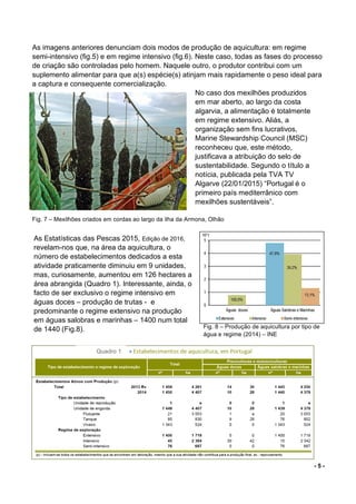 - 5 -
As imagens anteriores denunciam dois modos de produção de aquicultura: em regime
semi-intensivo (fig.5) e em regime intensivo (fig.6). Neste caso, todas as fases do processo
de criação são controladas pelo homem. Naquele outro, o produtor contribui com um
suplemento alimentar para que a(s) espécie(s) atinjam mais rapidamente o peso ideal para
a captura e consequente comercialização.
Fig. 7 – Mexilhões criados em cordas ao largo da ilha da Armona, Olhão
Fig. 8 – Produção de aquicultura por tipo de
água e regime (2014) – INE
No caso dos mexilhões produzidos
em mar aberto, ao largo da costa
algarvia, a alimentação é totalmente
em regime extensivo. Aliás, a
organização sem fins lucrativos,
Marine Stewardship Council (MSC)
reconheceu que, este método,
justificava a atribuição do selo de
sustentabilidade. Segundo o título a
notícia, publicada pela TVA TV
Algarve (22/01/2015) “Portugal é o
primeiro país mediterrânico com
mexilhões sustentáveis”.
As Estatísticas das Pescas 2015, Edição de 2016,
revelam-nos que, na área da aquicultura, o
número de estabelecimentos dedicados a esta
atividade praticamente diminuiu em 9 unidades,
mas, curiosamente, aumentou em 126 hectares a
área abrangida (Quadro 1). Interessante, ainda, o
facto de ser exclusivo o regime intensivo em
águas doces – produção de trutas - e
predominante o regime extensivo na produção
em águas salobras e marinhas – 1400 num total
de 1440 (Fig.8).
Quadro 1
 
