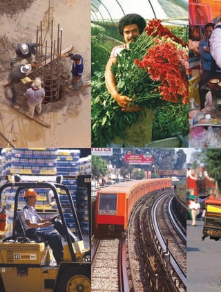 GEO-4-P.indb 114 06/11/15 16:22
 