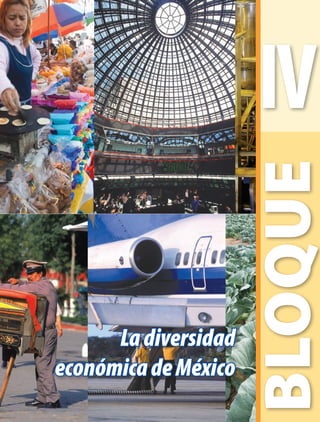 Ladiversidad
económicadeMéxico
BLOQUE
IV
GEO-4-P.indb 115 06/11/15 16:23
 