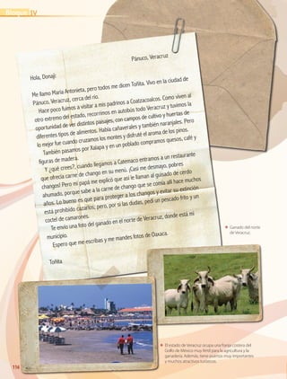 116116
ΕΕ El estado de Veracruz ocupa una franja costera del
Golfo de México muy fértil para la agricultura y la
ganadería. Además, tiene puertos muy importantes
y muchos atractivos turísticos.
ΕΕ Ganado del norte
de Veracruz.
	
Pánuco, Veracruz
Hola, Donají:
Me llamo María Antonieta, pero todos me dicen Toñita. Vivo en la ciudad de
Pánuco, Veracruz, cerca del río.
Hace poco fuimos a visitar a mis padrinos a Coatzacoalcos. Como viven al
otro extremo del estado, recorrimos en autobús todo Veracruz y tuvimos la
oportunidad de ver distintos paisajes, con campos de cultivo y huertas de
diferentes tipos de alimentos. Había cañaverales y también naranjales. Pero
lo mejor fue cuando cruzamos los montes y disfruté el aroma de los pinos.
También pasamos por Xalapa y en un poblado compramos quesos, café y
figuras de madera.
Y ¿qué crees?, cuando llegamos a Catemaco entramos a un restaurante
que ofrecía carne de chango en su menú. ¡Casi me desmayo, pobres
changos! Pero mi papá me explicó que así le llaman al guisado de cerdo
ahumado, porque sabe a la carne de chango que se comía allí hace muchos
años. Lo bueno es que para proteger a los changos y evitar su extinción
está prohibido cazarlos; pero, por si las dudas, pedí un pescado frito y un
coctel de camarones.
Te envío una foto del ganado en el norte de Veracruz, donde está mi
municipio.
Espero que me escribas y me mandes fotos de Oaxaca.
Toñita
IVBloque
GEO-4-P.indb 116 06/11/15 16:23
 