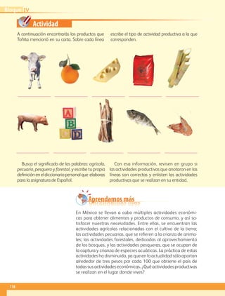 Actividad
A continuación encontrarás los productos que
Toñita mencionó en su carta. Sobre cada línea
escribe el tipo de actividad productiva a la que
corresponden.
Busca el significado de las palabras: agrícola,
pecuario, pesquero y forestal, y escribe tu propia
definicióneneldiccionariopersonalque elaboras
para la asignatura de Español.
Con esa información, revisen en grupo si
las actividades productivas que anotaron en las
líneas son correctas y enlisten las actividades
productivas que se realizan en su entidad.
En México se llevan a cabo múltiples actividades económi-
cas para obtener alimentos y productos de consumo, y así sa-
tisfacer nuestras necesidades. Entre ellas, se encuentran las
actividades agrícolas relacionadas con el cultivo de la tierra;
las actividades pecuarias, que se refieren a la crianza de anima-
les; las actividades forestales, dedicadas al aprovechamiento
de los bosques, y las actividades pesqueras, que se ocupan de
la captura y crianza de especies acuáticas. La práctica de estas
actividades ha disminuido, ya que en la actualidad sólo aportan
alrededor de tres pesos por cada 100 que obtiene el país de
todas sus actividades económicas. ¿Qué actividades productivas
se realizan en el lugar donde vives?
Aprendamos más
IVBloque
118
GEOGRAFIA-4-P-114-147*.indd 118 24/10/17 19:20
 