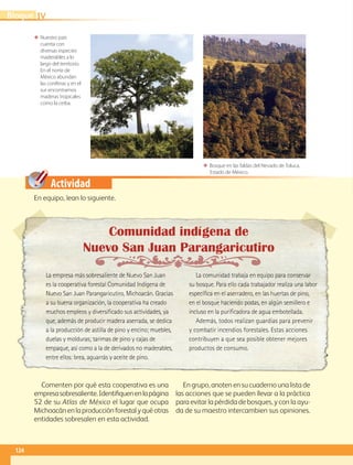 Actividad
La empresa más sobresaliente de Nuevo San Juan
es la cooperativa forestal Comunidad Indígena de
Nuevo San Juan Parangaricutiro, Michoacán. Gracias
a su buena organización, la cooperativa ha creado
muchos empleos y diversificado sus actividades, ya
que, además de producir madera aserrada, se dedica
a la producción de astilla de pino y encino; muebles,
duelas y molduras; tarimas de pino y cajas de
empaque, así como a la de derivados no maderables,
entre ellos: brea, aguarrás y aceite de pino.
La comunidad trabaja en equipo para conservar
su bosque. Para ello cada trabajador realiza una labor
específica en el aserradero, en las huertas de pino,
en el bosque haciendo podas, en algún semillero e
incluso en la purificadora de agua embotellada.
Además, todos realizan guardias para prevenir
y combatir incendios forestales. Estas acciones
contribuyen a que sea posible obtener mejores
productos de consumo.
Comunidad indígena de
Nuevo San Juan Parangaricutiro
ΕΕ Nuestro país
cuenta con
diversas especies
maderables a lo
largo del territorio.
En el norte de
México abundan
las coníferas y en el
sur encontramos
maderas tropicales
como la ceiba.
ΕΕ Bosque en las faldas del Nevado de Toluca,
Estado de México.
En equipo, lean lo siguiente.
Comenten por qué esta cooperativa es una
empresasobresaliente.Identifiquenenlapágina
52 de su Atlas de México el lu­gar que ocupa
Michoacánenlaproducciónforestalyquéotras
entidades sobresalen en esta actividad.
En grupo, anoten en su cuaderno una lista de
las acciones que se pueden llevar a la práctica
para evitar la pérdida de bosques, y con la ayu-
da de su maestro intercambien sus opiniones.
IVBloque
124
GEO-4-P.indb 124 06/11/15 16:34
 