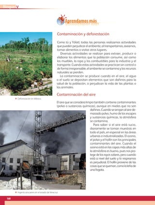 La contaminación se produce cuando en el aire, el agua
o el suelo se depositan elementos que son dañinos para la
salud de la población, o perjudican la vida de las plantas o
los animales.
Contaminación del aire
Elairequeseconsideralimpiotambiéncontienecontaminantes
(polvo o sustancias químicas), aunque en niveles que no son
dañinos.Cuandosearrojanalairede-
masiado polvo, humo de los escapes
y sustancias químicas, la atmósfera
se contamina.
Para saber si el aire está sucio,
diariamente se toman muestras en
todo el país, en especial en las áreas
urbanas e industrializadas. El ozono,
el polvo y el hollín son los principales
contaminantes del aire. Cuando el
ozono está en las capas más altas de
la atmósfera es bueno, pues nos pro-
tege de los rayos solares, pero cuando
está a nivel del suelo y lo respiramos
es perjudicial. El hollín proviene de las
cosasquesequeman,comolaleñade
una fogata.
Contaminación y deforestación
Como tú y Yólotl, todas las personas realizamos actividades
quepuedenperjudicarelambiente,altransportarnos,asearnos,
tomar alimentos o visitar otros lugares.
Diversas actividades se realizan para extraer, producir o
elaborar los alimentos que la población consume, así como
los muebles, la ropa y los combustibles para la industria y el
transporte. Cuando estas actividades se practican sin control o
deformairresponsable,elambientesecontaminaylosrecursos
naturales se pierden.
Aprendamos más
ΕΕ Deforestación en México.
ΕΕ Ingenio azucarero en el estado de Veracruz.
VBloque
160
GEOGRAFIA-4-P-148-183*.indd 160 14/08/17 10:08
 