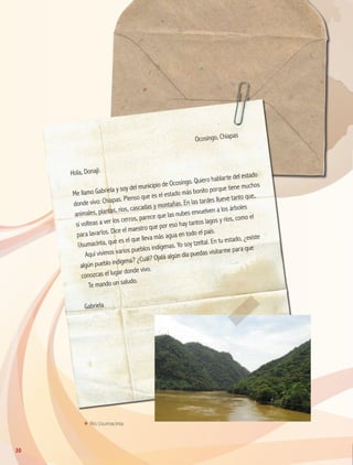 Ocosingo, Chiapas
Hola, Donají:
Me llamo Gabriela y soy del municipio de Ocosingo. Quiero hablarte del estado
donde vivo: Chiapas. Pienso que es el estado más bonito porque tiene muchos
animales, plantas, ríos, cascadas y montañas. En las tardes llueve tanto que,
si volteas a ver los cerros, parece que las nubes envuelven a los árboles
para lavarlos. Dice el maestro que por eso hay tantos lagos y ríos, como el
Usumacinta, que es el que lleva más agua en todo el país.
Aquí vivimos varios pueblos indígenas. Yo soy tzeltal. En tu estado, ¿existe
algún pueblo indígena? ¿Cuál? Ojalá algún día puedas visitarme para que
conozcas el lugar donde vivo.
Te mando un saludo.
Gabriela
ΕΕ Río Usumacinta.
2
3
2
2
1
30
GEO-4-P.indb 30 06/11/15 16:15
 