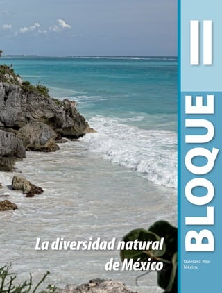 Ladiversidadnatural
deMéxico
II
BLOQUE
Quintana Roo,
México.
GEO-4-P.indb 43 06/11/15 16:16
 