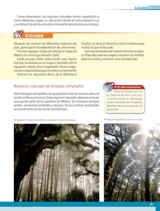 Actividad
Como observaron, las regiones naturales tienen vegetación y
clima diferentes según su ubicación (desde el norte hasta el sur)
y su altitud (desde la cima de la montaña hasta la llanura costera).
ΕΕ Bosque templado de pinos y encinos.ΕΕ Bosque de niebla (mesóf ilo de montaña). El Porvenir, Chiapas.
Después de conocer las diferentes regiones del
país, participa en la elaboración de una revista.
Formen equipos. Cada uno dibuje el mapa de
México en una hoja tamaño carta.
Cada equipo debe seleccionar una región
natural, localizarla en el mapa e ilustrarla con lo
siguiente:relieve,clima,vegetación,faunayalgu-
naotracaracterísticaqueconsidereninteresante.
Utilicen los siguientes libros de la Biblioteca
Escolar: La selva, El desierto y otros similares para
ilustrar lo que se les pide.
Conlaorientacióndelmaestroformensurevis-
ta. Para ello unan los mapas, inventen un nombre
para la revista y escriban una introducción.
Regiones naturales de bosques templados
De los bosques templados, los que predominan en nuestro país son
losdeconíferasyencinos.Estasregionesnaturalesabarcancercade
una quinta parte de la superficie de México. Son bosques siempre
verdes, resistentes a heladas y sequías. Se encuentran distribuidos
principalmente en las zonas montañosas.
✥ Un dato interesante
México es el país más rico
en especies de pino y de enci-
no en el mundo. Se calcula que
existen alrededor de 50 especies
diferentesdepinosycercade150
de encinos.
63
Lección 3
GEO-4-P-042-083.indd 63 20/01/17 11:32
 