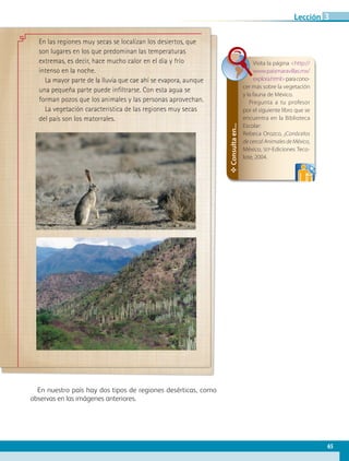 En las regiones muy secas se localizan los desiertos, que
son lugares en los que predominan las temperaturas
extremas, es decir, hace mucho calor en el día y frío
intenso en la noche.
La mayor parte de la lluvia que cae ahí se evapora, aunque
una pequeña parte puede infiltrarse. Con esta agua se
forman pozos que los animales y las personas aprovechan.
La vegetación característica de las regiones muy secas
del país son los matorrales.
✥Consultaen...
Visita la página http://
www.paismaravillas.mx/
explora.htmlparacono-
cer más sobre la vegetación
y la fauna de México.
Pregunta a tu profesor
por el siguiente libro que se
encuentra en la Biblioteca
Escolar:
Rebeca Orozco, ¡Conócelos
de cerca! Animales de México,
México, sep-Ediciones Teco-
lote, 2004.
En nuestro país hay dos tipos de regiones desérticas, como
observas en las imágenes anteriores.
65
Lección 3
GEO-4-P-042-083.indd 65 23/01/17 15:55
 