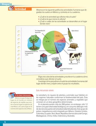 Actividad Observa en la siguiente gráfica las actividades humanas que de-
gradan los suelos en México y contesta en tu cuaderno.
•• ¿Cuál es la actividad que afecta más al suelo?
•• ¿Cuál es la que menos lo afecta?
•• ¿Cuál o cuáles de las actividades se desarrollan en el lugar
donde vives?
Elige una o dos de las actividades y escribe en tu cuaderno cómo
consideras que afectan al suelo.
Investiga cómo perjudican el suelo las actividades humanas del
lugar donde vives y expón ante el grupo los resultados.
Los recursos vivos
La variedad y la riqueza de plantas y animales que habitan en
las regiones naturales conforman la biodiversidad del país. Ésta
se integra por el número de especies animales y vegetales que
conviven en un área geográfica determinada.
En el planeta existen más de 200 países; sin embargo, sólo 12
tienen una gran diversidad biológica y en conjunto albergan más
dedosterceraspartesdelabiodiversidaddelplaneta.Estegrupode
países megadiversos está integrado por México, Estados Unidos,
Colombia, Ecuador, Perú, Brasil, República Democrática del Congo,
Madagascar, China, India, Indonesia y Australia.
Actividad Industrial
0.5%
Sin degradación
aparente
55.1%
17.5%
7.4%
17.5%
Sobreexplotación de
la vegetación
1.5%
Urbanización
1.5%
Deforestación
Agricultura
Sobrepastoreo
✥ Un dato interesante
México ocupa el segundo
lugar en el mundo en número
de especies de reptiles que exis-
ten, el tercer lugar en especies de
mamíferos y el cuarto lugar en el
número de especies de anf ibios.
76
IIBloque
GEO-4-P-042-083.indd 76 20/01/17 11:32
 