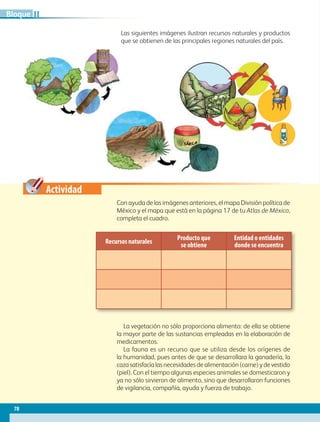 Actividad
La vegetación no sólo proporciona alimento: de ella se obtiene
la mayor parte de las sustancias empleadas en la elaboración de
medicamentos.
La fauna es un recurso que se utiliza desde los orígenes de
la humanidad, pues antes de que se desarrollara la ganadería, la
caza satisfacía las necesidades de alimentación (carne) y de vestido
(piel). Con el tiempo algunas especies animales se domesticaron y
ya no sólo sirvieron de alimento, sino que desarrollaron funciones
de vigilancia, compañía, ayuda y fuerza de trabajo.
Con ayuda de las imágenes anteriores, el mapa División política de
México y el mapa que está en la página 17 de tu Atlas de México,
completa el cuadro.
Las siguientes imágenes ilustran recursos naturales y productos
que se obtienen de las principales regiones naturales del país.
Recursos naturales
Producto que
se obtiene
Entidad o entidades
donde se encuentra
78
IIBloque
GEO-4-P.indb 78 06/11/15 16:18
 