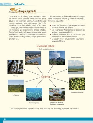 Lo que aprendí
Evaluación
Diversidad natural
De la costa a los volcanes
Laguna Cuyutlán
Palmeras
Limones de Tecomán
Selva seca
Colima
Banco de peces Quiosco de Tecomán.
Aquí viven mis abuelos
Por último, presenten una exposición en el aula con sus trabajos y expliquen sus cuadros.
Laura vive en Sinaloa y está muy emociona-
da porque junto con sus papás visitará a sus
abuelos en Tecomán, Colima. Cuando los vea
quiere enseñarles un esquema que hizo en la
escuela sobre la diversidad natural de Tecomán.
Enequipo,seleccionenunaentidaddelpaísque
les interese y que sea diferente a la de ustedes.
Después, comenten el esquema que realizó Laura
yelaborenunodelestadoqueseleccionaron;usen
comoreferenciaelsiguiente,yloqueaprendieron
en el bloque.
Anoten el nombre del estado al centro y las pa-
labras “diversidad natural” y “recursos naturales”.
Revisen lo siguiente:
•• La lección de su texto que les permite iden-
tificar las formas del relieve.
•• Las páginas del Atlas donde se localizan las
regiones naturales del país.
•• La localización de la cuenca hídrica que
pertenece al estado seleccionado.
•• La lección donde estudiaron los recursos na-
turales de México.
80
IIBloque
GEO-4-P-042-083.indd 80 18/12/15 12:07
 