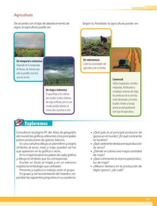 Exploremos
De temporal o extensiva
Depende de la temporada
de lluvias, de manera que
sólo es posible cosechar
una vez al año.
De subsistencia
Cubre las necesidades del
agricultor y de su familia.
De riego o intensiva
El agua llega a los cultivos
por canales u otros sistemas
de riego artificial, con lo cual
resulta posible obtener al
menos dos cosechas al año.
Comercial
Utiliza maquinaria, semillas
mejoradas, fertilizantes y
complejos sistemas de riego;
los productos de la cosecha
están destinados a la venta.
Estados Unidos y Europa
practican principalmente
este tipo de agricultura.
Consulta en la página 91 del Atlas de geografía
delmundolasgráficasreferentesalosprincipales
países productores de granos básicos.
Enunacartulinadibujaunplanisferioyasigna
símbolos al arroz, maíz y trigo; pueden ser los
que aparecen en la gráfica u otros.
Entumapalocalizalospaísesdecadagráfica
y dibuja el símbolo que les corresponde.
Escribe un título al mapa y en un extremo
registra la simbología que utilizaste.
Presenta y explica tu trabajo ante el grupo.
Engrupo,yconlaorientacióndelmaestro,res-
pondanlassiguientespreguntasensucuaderno.
• ¿Qué país es el principal productor de
granosenelmundo?¿Enquécontinente
se localiza?
• ¿Quécontinentedestacaenlaproducción
de arroz?
• ¿Dónde se cultiva una mayor cantidad
de maíz?
• ¿Qué continente es el principal produc-
tor de trigo?
• ¿México destaca en la producción de
algún grano?, ¿de cuál?
Agricultura
De acuerdo con el tipo de abastecimiento de
agua, la agricultura puede ser:
Según su finalidad, la agricultura puede ser:
111
Lección 1
GEO-5-P-106-145.indd 111 26/11/19 17:27
 