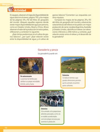 Actividad
Intensiva
A los animales se les proporcionan
alimentos procesados y se les cría
en establos acondicionados
con la tecnología necesaria para
aumentar la producción.
Enequipos,observenelmapadedisponibilidadde
agua dulce en el anexo, página 193, y los mapas
de las páginas 49 y 92 del Atlas de geografía
del mundo. Ubiquen aquellas regiones donde
existemayordisponibilidaddeaguaporpersona,
como en Estados Unidos, Brasil y China. Ahora
observenelvalordelaproducciónenestospaíses,
reflexionen y contesten lo siguiente.
¿Qué climas predominan en el cultivo de gra-
nos básicos?, ¿por qué? ¿Qué relación existe
entre la disponibilidad de agua y el cultivo de
granos básicos? Comenten sus respuestas con
otros equipos.
Compara los mapas de las páginas 29 y 93
del Atlas de geografía del mundo y observa las
característicasdelrelieveenlospaísesconmayor
produccióndecarne.LocalizaArgentina,Australia
y Estados Unidos, identifica el relieve con eleva-
ciones inferiores a 250 metros y contesta ¿qué
relación existe entre el relieve y el desarrollo de
la ganadería?
Ganadería y pesca
La ganadería puede ser:
Extensiva
Se realiza en terrenos cuyas
grandes dimensiones permiten
que los animales encuentren
pastos suficientes.
De autoconsumo
La practican las familias para
satisfacer sus propias necesidades
de leche, carne y huevo.
112
IV
Bloque
GEO-5-P-106-145.indd 112 26/11/19 17:27
 