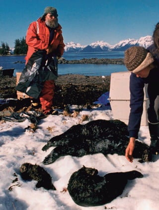 GEO-5-P-146-186.indd 146 28/10/19 14:32
 