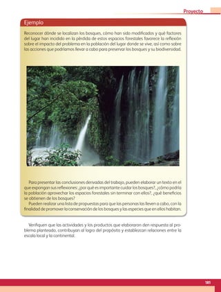 Ejemplo
Reconocer dónde se localizan los bosques, cómo han sido modificados y qué factores
del lugar han incidido en la pérdida de estos espacios forestales favorece la reflexión
sobre el impacto del problema en la población del lugar donde se vive, así como sobre
las acciones que podríamos llevar a cabo para preservar los bosques y su biodiversidad.
Para presentar las conclusiones derivadas del trabajo, pueden elaborar un texto en el
que expongan sus reflexiones: ¿por qué es importante cuidar los bosques?, ¿cómo podría
la población aprovechar los espacios forestales sin terminar con ellos?, ¿qué beneficios
se obtienen de los bosques?
Pueden realizar una lista de propuestas para que las personas las lleven a cabo, con la
finalidad de promover la conservación de los bosques y las especies que en ellos habitan.
Verifiquen que las actividades y los productos que elaboraron den respuesta al pro-
blema planteado, contribuyan al logro del propósito y establezcan relaciones entre la
escala local y la continental.
181
Proyecto 4
GEO-5-P-146-186.indd 181 26/11/19 17:34
 