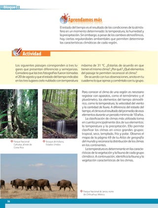 Actividad
“Parque Nacional de Janos, norte
de Chihuahua, México.
“Parque Nacional
Cahuitas, al este de
Costa Rica.
“Bosque de Indiana,
Estados Unidos.
Aprendamos más
El estado del tiempo es el resultado de las condiciones de la atmós-
fera en un momento determinado: la temperatura, la humedad y
laprecipitación.Sinembargo,apesardeloscambiosatmosféricos,
hay ciertas regularidades ambientales que permiten determinar
las características climáticas de cada región.
Los siguientes paisajes corresponden a tres lu-
gares que presentan diferencias y semejanzas.
Consideraquelastresfotografíasfuerontomadas
el20deagostoyqueelestadodeltiempoindicaba
en los tres lugares cielo nublado con temperatura
máxima de 31 ºC. ¿Estarías de acuerdo en que
tienenelmismoclima?¿Porqué?¿Quéelementos
del paisaje te permiten reconocer el clima?
De acuerdo con tus observaciones, anota en tu
cuadernoloqueopinasycoméntalocontugrupo.
Para conocer el clima de una región es necesario
registrar con aparatos, como el termómetro y el
pluviómetro, los elementos del tiempo atmosfé-
rico, como la temperatura, la velocidad del viento
y la cantidad de lluvia. A diferencia del estado del
tiempo,elclimaeselresultadodelpromediodeesos
elementosduranteunperiodomínimode10años.
La clasificación de climas más utilizada toma
en cuenta principalmente dos de sus elementos:
la temperatura y la precipitación. Ello permite
clasificar los climas en cinco grandes grupos:
tropical, seco, templado, frío y polar. Observa el
mapa de la página 49 de tu Atlas de geografía
delmundoyreconoceladistribucióndelosclimas
en los continentes.
Latemperaturaesdeterminanteenlascaracte-
rísticas de la vegetación y la fauna de cada grupo
climático. A continuación, identifica la fauna y la
vegetación características de los climas.
56
II
Bloque
GEO-5-P-038-071.indd 56 26/11/19 17:19
 