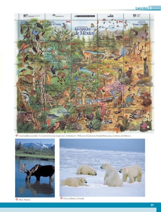 “Alce, Alaska.
“Estampillas postales Conservemos las Especies, emitida en 1996 por el Servicio Postal Mexicano, Correos de México.
“Osos polares, Canadá.
57
Lección 3
GEO-5-P-038-071.indd 57 28/10/19 14:23
 