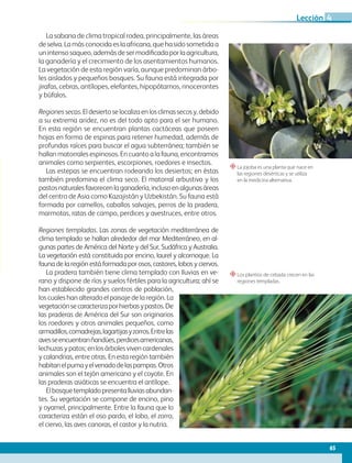 “La jojoba es una planta que nace en
las regiones desérticas y se utiliza
en la medicina alternativa.
“Los plantíos de cebada crecen en las
regiones templadas.
La sabana de clima tropical rodea, principalmente, las áreas
deselva.Lamásconocidaeslaafricana,quehasidosometidaa
unintensosaqueo,ademásdesermodificadaporlaagricultura,
la ganadería y el crecimiento de los asentamientos humanos.
La vegetación de esta región varía, aunque predominan árbo-
les aislados y pequeños bosques. Su fauna está integrada por
jirafas, cebras, antílopes, elefantes, hipopótamos, rinocerontes
y búfalos.
Regionessecas.Eldesiertoselocalizaenlosclimassecosy,debido
a su extrema aridez, no es del todo apto para el ser humano.
En esta región se encuentran plantas cactáceas que poseen
hojas en forma de espinas para retener humedad, además de
profundas raíces para buscar el agua subterránea; también se
hallan matorrales espinosos. En cuanto a la fauna, encontramos
animales como serpientes, escorpiones, roedores e insectos.
Las estepas se encuentran rodeando los desiertos; en éstas
también predomina el clima seco. El matorral arbustivo y los
pastosnaturalesfavorecenlaganadería,inclusoenalgunasáreas
del centro de Asia como Kazajistán y Uzbekistán. Su fauna está
formada por camellos, caballos salvajes, perros de la pradera,
marmotas, ratas de campo, perdices y avestruces, entre otros.
Regiones templadas. Las zonas de vegetación mediterránea de
clima templado se hallan alrededor del mar Mediterráneo, en al-
gunas partes de América del Norte y del Sur, Sudáfrica y Australia.
La vegetación está constituida por encino, laurel y alcornoque. La
fauna de la región está formada por osos, castores, lobos y ciervos.
La pradera también tiene clima templado con lluvias en ve-
rano y dispone de ríos y suelos fértiles para la agricultura; ahí se
han establecido grandes centros de población,
los cuales han alterado el paisaje de la región. La
vegetaciónsecaracterizaporhierbasypastos.De
las praderas de América del Sur son originarios
los roedores y otros animales pequeños, como
armadillos,comadrejas,lagartijasyzorros.Entrelas
avesseencuentranñandúes,perdicesamericanas,
lechuzas y patos; en los árboles viven cardenales
y calandrias, entre otras. En esta región también
habitanelpumayelvenadodelaspampas.Otros
animales son el tejón americano y el coyote. En
las praderas asiáticas se encuentra el antílope.
Elbosquetempladopresentalluviasabundan-
tes. Su vegetación se compone de encino, pino
y oyamel, principalmente. Entre la fauna que lo
caracteriza están el oso pardo, el lobo, el zorro,
el ciervo, las aves canoras, el castor y la nutria.
65
Lección 4
GEO-5-P-038-071.indd 65 28/10/19 14:23
 