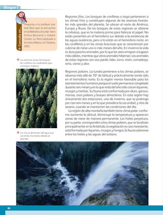 “Las extensas zonas de bosques
de coníferas son explotadas para
conseguir maderas.
“Los ríos se alimentan del agua que
cae de las montañas debido al
deshielo.
Consulta
en...
Pregunta a tu profesor por
este libro que se encuentra
en la Biblioteca Escolar:Yann
Arthus-Bertrand y Hubert
Comte, La Tierra explicada a
losniños,México,SEP-Océano,
2005.
Regiones frías. Los bosques de coníferas o taiga pertenecen a
los climas fríos y constituyen algunas de las reservas foresta-
les más grandes del planeta. Se ubican al norte de América,
Europa y Rusia. De los bosques de estas regiones se obtiene
la celulosa, que es la materia prima para fabricar el papel. No
están presentes en el hemisferio sur debido a la existencia de
las aguas oceánicas, pero sí lo están en el hemisferio norte, en
las cordilleras y en las zonas boscosas que se caracterizan por
cubrirse de nieve uno o más meses del año. En invierno la vida
es dura para los animales, por lo que las aves emigran a lugares
máscálidos,mientrasqueotrosanimaleshibernan.Losanimales
de estas regiones son oso pardo, lobo, zorro, visón, comadreja,
reno, ciervo y alce.
Regiones polares. La tundra pertenece a los climas polares, se
observa más allá de 70º de latitud y prácticamente existe sólo
en el hemisferio norte. Es la región menos favorable para los
asentamientos humanos porque el suelo permanece congelado
duranteseismesesyenloquerestadelañosólocrecenlíquenes,
musgos y hierbas. Su fauna está conformada por alces, gansos,
morsas, osos polares y bueyes almizcleros. En esta región hay
únicamente dos estaciones, una de invierno, que se prolonga
por casi seis meses y en la que prevalece la oscuridad, y otra de
verano, cuando se mantienen las condiciones del día.
La región de alta montaña también tiene clima polar: confor-
me aumenta la altitud, disminuye la temperatura y aparecen
zonas de nieve de manera permanente. Los hielos perpetuos,
por su parte, corresponden a los climas polares, que se localizan
principalmente en la Antártida; la vegetación es casi inexistente,
está formada por líquenes, musgos y hongos; la fauna sobrevive
entre los hielos y las aguas del océano.
66
II
Bloque
GEO-5-P-038-071.indd 66 28/10/19 14:23
 