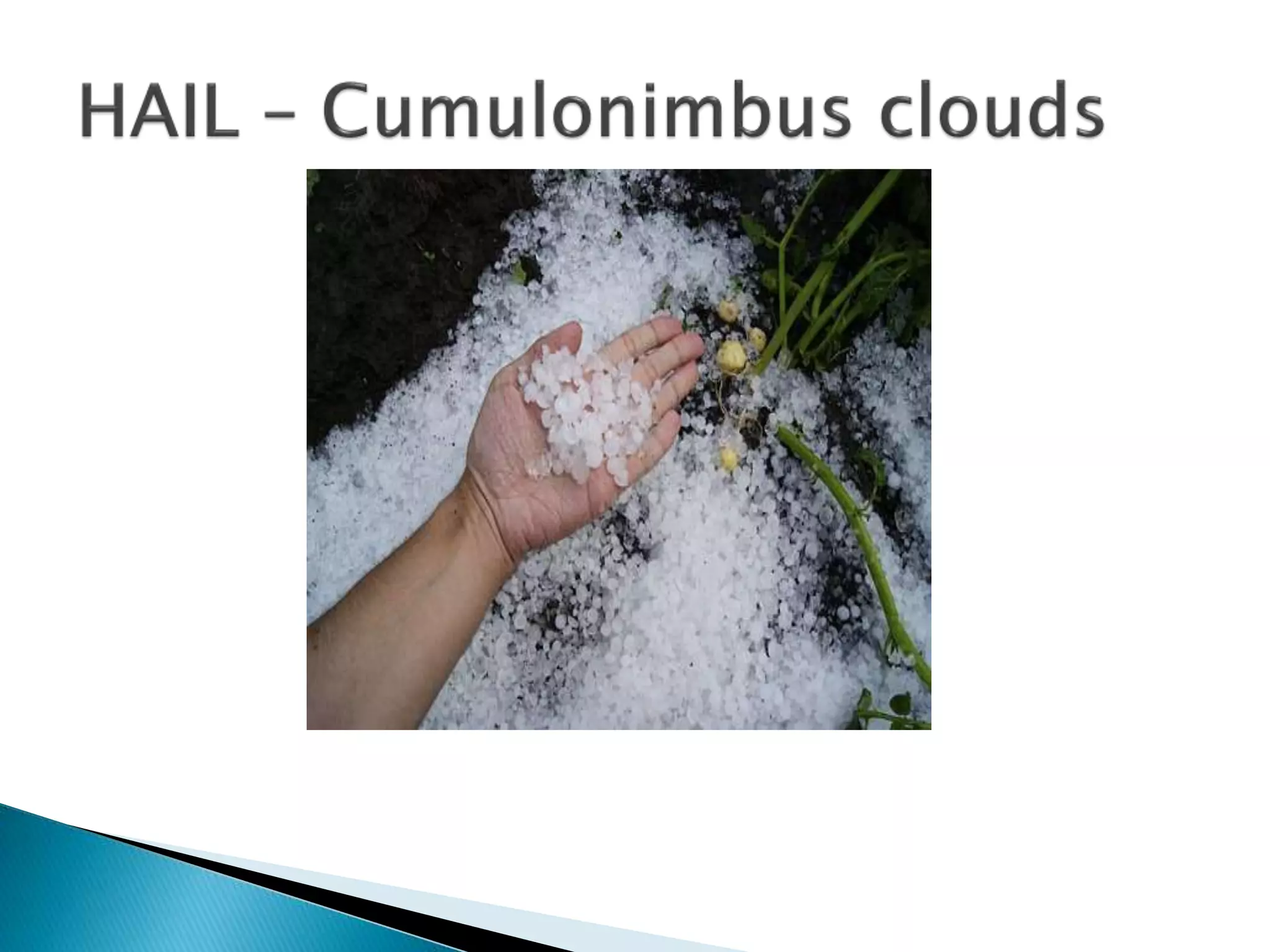 Climate - Nazima Tahseen