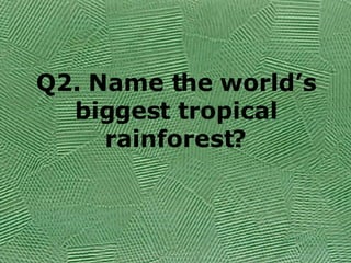 Q2. Name the world’s biggest tropical rainforest? 