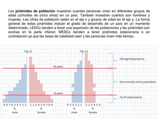 Las pirámides de población muestran cuantas personas viven en diferentes grupos de
edad (cohortes de cinco años) en un país. También muestran cuántos son hombres y
mujeres. Las cifras de población están en el eje x y grupos de edad en el eje y. La forma
general de estas pirámides indican el grado de desarrollo de un país en un momento
determinado. LEDCs tienden a tener una expansión de las poblaciones y las pirámides son
anchas en la parte inferior; MEDCs tienden a tener pirámides estacionaria o en
contratación ya que las tasas de natalidad caen y las personas viven más tiempo.
 