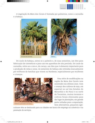 25
UNIDADE 1
Do caule do babaçu, extrai-se o palmito e, de suas sementes, um óleo para
fabricação de cosméticos e para uso em aparelhos de alta precisão. Do caule da
carnaúba, retira-se a cera e, do caroço, um óleo que é elemento importante para
a produção de velas e ceras. As sementes do babaçu são retiradas manualmente
por milhares de famílias que vivem no Nordeste, especialmente por mulheres
e crianças.
Uma série de modificações na
região da Mata dos Cocais vem
ocorrendo nos últimos anos. Com
o avanço dos cultivos de soja, em
especial no sul dos Estados do
Maranhão e do Piauí e no norte
do Tocantins, muitos terrenos e
cultivos foram eliminados para
dar lugar às plantações, em grande
parte voltadas para a exportação.
Sem alternativas, pequenos agri-
cultores têm se deslocado para as cidades em busca de emprego no comércio e na
prestação de serviços.
A vegetação da Mata dos Cocais é formada por palmeiras, como a carnaúba
e o babaçu.
Árvores de carnaúba.
©
Marcos
André/Opção
Brasil
Imagens
Babaçu.
©
José
Roberto
Lobato/Opção
Brasil
Imagens
Mulheres quebradeiras de babaçu.
©
J.
L.
Bulcão/Pulsar
Imagens
00_BOOK_GEO_CE_VOL 2.indb 25 21/07/14 11:58
 