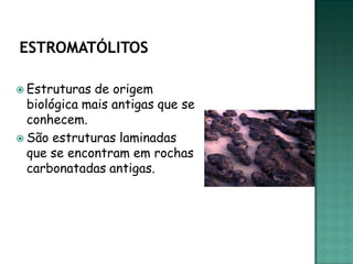  Estruturas de origem
  biológica mais antigas que se
  conhecem.
 São estruturas laminadas
  que se encontram em rochas
  carbonatadas antigas.
 