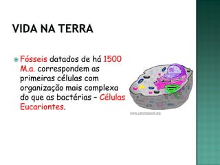  Fósseisdatados de há 1500
 M.a. correspondem as
 primeiras células com
 organização mais complexa
 do que as bactérias – Células
 Eucariontes.
 