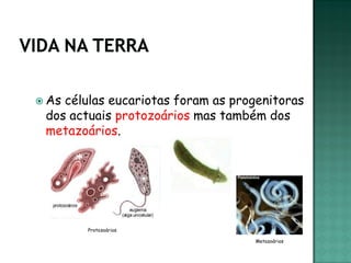  Ascélulas eucariotas foram as progenitoras
 dos actuais protozoários mas também dos
 metazoários.




        Protozoários

                                   Metazoários
 