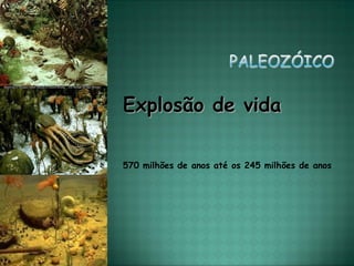 Explosão de vida

570 milhões de anos até os 245 milhões de anos
 