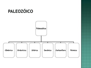 Paleozóico




Câmbrico   Ordovícico   Silúrico     Devónico   Carbonífero   Pérmico
 