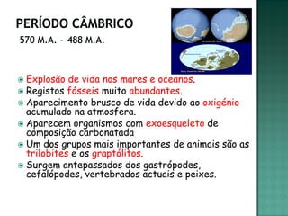  Explosão de vida nos mares e oceanos.
 Registos fósseis muito abundantes.
 Aparecimento brusco de vida devido ao oxigénio
  acumulado na atmosfera.
 Aparecem organismos com exoesqueleto de
  composição carbonatada
 Um dos grupos mais importantes de animais são as
  trilobites e os graptólitos.
 Surgem antepassados dos gastrópodes,
  cefalópodes, vertebrados actuais e peixes.
 