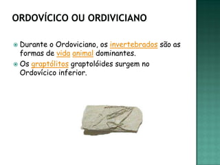  Durante o Ordoviciano, os invertebrados são as
  formas de vida animal dominantes.
 Os graptólitos graptolóides surgem no
  Ordovícico inferior.
 