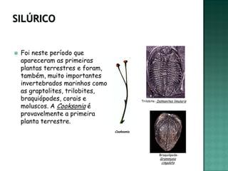    Foi neste período que
    apareceram as primeiras
    plantas terrestres e foram,
    também, muito importantes
    invertebrados marinhos como
    as graptolites, trilobites,
    braquiópodes, corais e                    Trilobite- Dalmanites limuluris
    moluscos. A Cooksonia é
    provavelmente a primeira
    planta terrestre.
                                  Cooksonia




                                                          Braquiópode-
                                                          Grammysia
                                                           cingulata
 