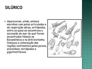    Apareceram, ainda, animais
    marinhos com patas articuladas e
    de respiração aérea, artrópodes,
    entre os quais se encontrava o
    escorpião do mar do qual foram
    encontrados fósseis na
    Escandinávia e na Grã-bretanha.
    Começou a colonização das
    regiões continentais pelos peixes,
    aracnídeos, miriópodes e
    gigantostráceos.
 