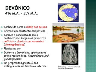    Conhecida como a idade dos peixes.
   Animais em constante competição.
   Começa a conquista do meio
    continental e surgem os primeiros
    anfíbios e plantas com sementes
    (gimnospérmicas)
   Plantas na con
   Durante o Devoniano, aparecem os
    primeiros anfíbios, licopsídeos e pró-
    gimnospermas.
   Os graptólitos graptolóides
    extinguem-se no Devónico inferior.       Ichthyostega – primeiro vertebrado
                                             terrestre - Gronelândia
 