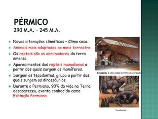    Novas alterações climáticas – Clima seco.
   Animais mais adaptados ao meio terrestre.
   Os repteis são os dominadores da terra
    emersa.
   Aparecimentos dos repteis mamalianos a
    partir dos quais surgem os mamíferos.
                                                Synapsida é uma classe extinta de cordados
   Surgem os tecodontes, grupo a partir dos
    quais surgem os dinossáurios.
   Durante o Permiano, 90% da vida na Terra
    desapareceu, evento conhecido como
    Extinção Permiana.


                                                                 Tecodontes
 