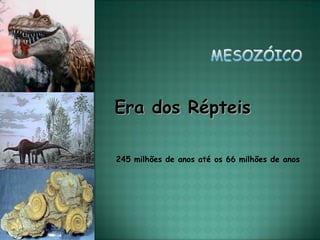 Era dos Répteis

245 milhões de anos até os 66 milhões de anos
 