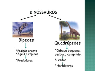 Bípedes
                   Quadrúpedes
*Posição erecta    *Cabeça pequena,
*Ágeis e rápidos   pescoço comprido.
*Predadores        *Lentos
                   *Herbiveros
 