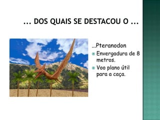...Pteranodon
 Envergadura de 8
  metros.
 Voo plano útil
  para a caça.
 