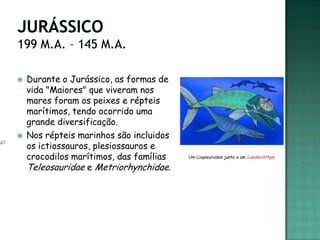    Durante o Jurássico, as formas de
    vida "Maiores" que viveram nos
    mares foram os peixes e répteis
    marítimos, tendo ocorrido uma
    grande diversificação.
   Nos répteis marinhos são incluidos
    os ictiossauros, plesiossauros e
    crocodilos marítimos, das famílias   Um Liopleurodon junto a um Leedsichthys

    Teleosauridae e Metriorhynchidae.
 