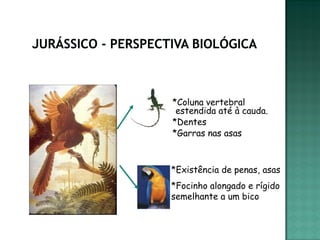 *Coluna vertebral
 estendida até à cauda.
*Dentes
*Garras nas asas



*Existência de penas, asas
*Focinho alongado e rígido
semelhante a um bico
 
