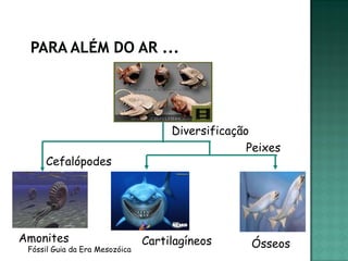 Diversificação
                                                   Peixes
     Cefalópodes




Amonites                        Cartilagíneos      Ósseos
 Fóssil Guia da Era Mesozóica
 